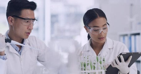 Scientists growing plants in test tubes and typing data into digital tablet for an experiment on carbon capture. Chemists using pipette to put green leaves in glassware for climate change research