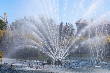 The jets of the fountain located in the pond hit in all directions, irrigating everything around. Fountain in the amusement park. Rest on a sunny day