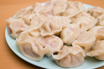Homemade meat dumpling on plate