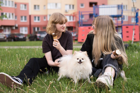 Two funny girls are eating ice cream and playing with a pomeranian dog.