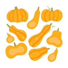 Set of autumn pumpkins, different pumpkins, on a white background