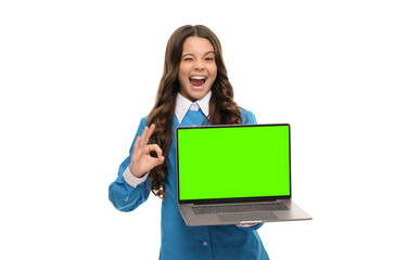 Fototapeta premium winking child long curly hair showing presentation on laptop screen isolated on white, ok