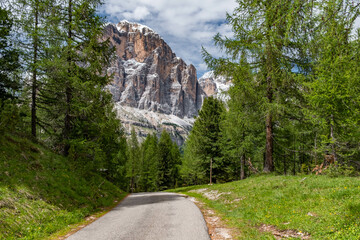 Asphalt road in Alps mountains in Dolomite Alps in Italy. The road passes in the coniferous forests at the foot of limestone and dolomite rocks. The concept of active and car tourism