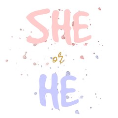 Fototapeta premium Boy or girl hand drawn modern lettering - Baby shower announcement banner, card - Gender reveal party - Vector illustration isolated