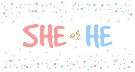 Boy or girl hand drawn modern lettering - Baby shower announcement banner, card - Gender reveal party - Vector illustration isolated