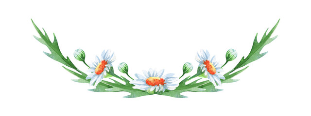 Watercolor daisy bouquet isolated on white background. Watercolor floral design elements perfect for wedding, invitations, greeting cards, print. 
Hand-drawn botanical border with chamomile flowers.
