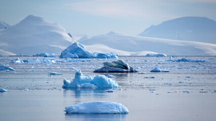 Icebergs floating in front of snow covered mountains at Cierva Cove, Antarctica