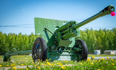 old military cannon