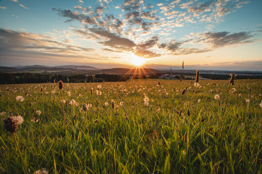 Sunset in the village of Raskovice in the east of the Czech Republic. The sun is illuminating the blades of grass in a wild field for the last time