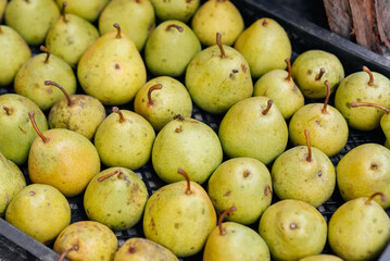 Boxes with ripe juicy pears are standing after harvesting close-up. Healthy organic food. Natural and environmentally friendly agriculture.
