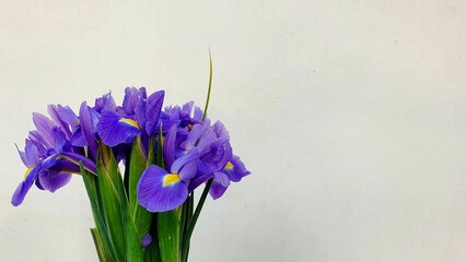 Closeup shot of a bouquet of purple irises on a white background
