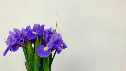 Tuinposter Closeup shot of a bouquet of purple irises on a white background © Tsvetomira Filipova/Wirestock Creators