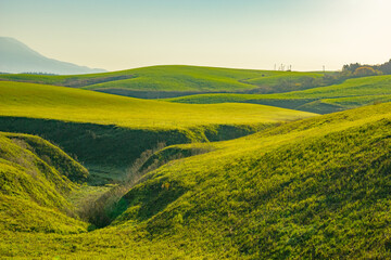 阿蘇、北外輪山の地形がうねる牧草地。独特の地形を説明的に表現する汎用カット。