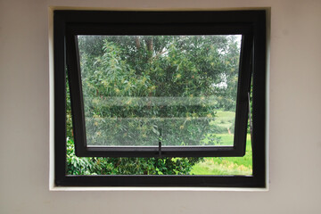 Window on a white wall with the view of greenery on the outside showing the concept of mental health, isolation and depression