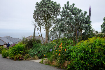 Exotic tropical garden on a hill