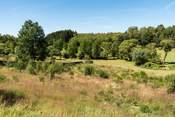 Fototapeta na wymiar Panoramic view over the agriculture fields and meadows of the East-Belgian countryside near Burg-Reuland