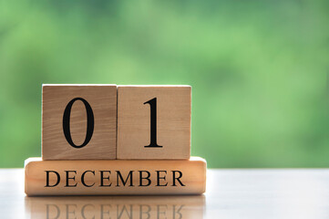 December 1 calendar date text on wooden blocks with copy space for ideas. Copy space