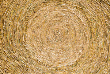 Yellow hay roll close up at the German countryside - Powered by Adobe