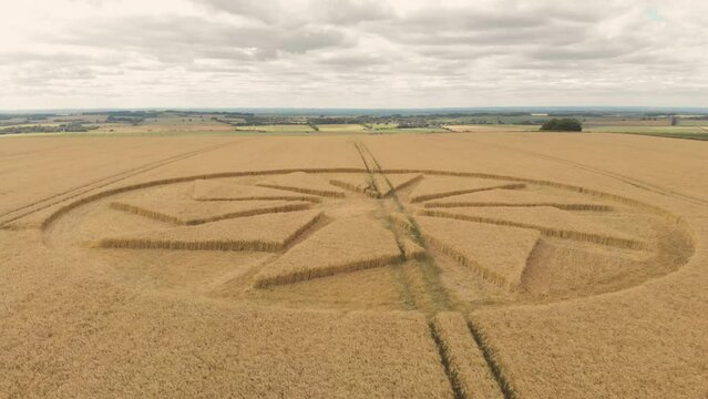 Aerial drone shot of ufo crop circle design in corn field, Wiltshire, UK