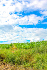 Natural panorama view with farms green plants trees forest Germany.