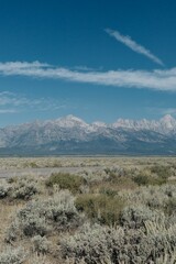 Beautiful landscape of a road in a wilderness near the mountains