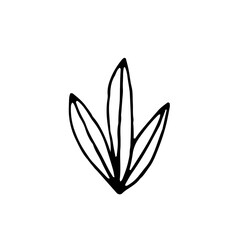 Plant, grass, algae. Vector. Doodle. Hand drawn illustration. Sketch. Silhouette. Black and white. Contour. Coloring