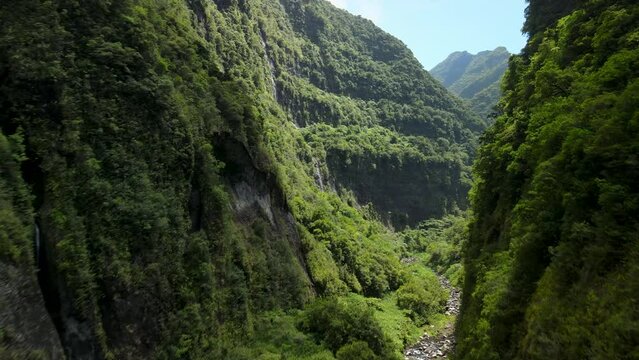 Aerial view of a tropical ravine at noon in the Reunion Island. There is a river at the bottom of the ravine. There is green vegetation on both sides of the ravine. 4k footage