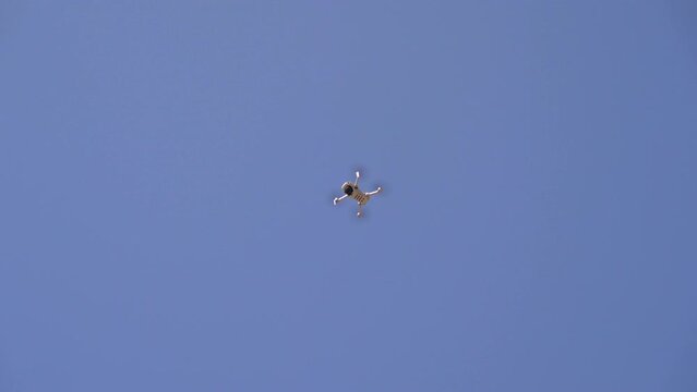 Small Drone Flying in the Air Scared Off by Seagull, Blue Sky Backdrop