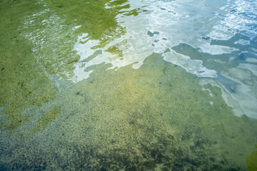 The water in the pool is rotten.