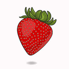 Strawberry red summer fruit, white background. Vector graphic illustration