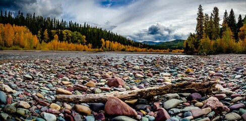 Colorful rocks on the ground against the autumn trees in Flathead National Forest. Montana, USA.