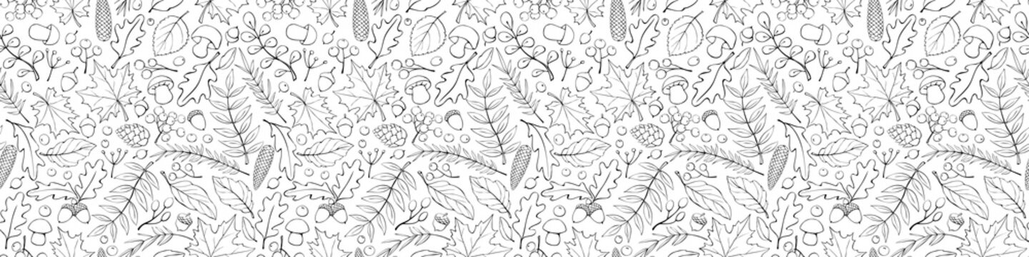 Seamless pattern falling leaves, acorns, berries, mushrooms. Vector autumn texture, isolated, hand drawn in doodle style, black outline. Concept of forest, leaf fall, nature, thanksgiving