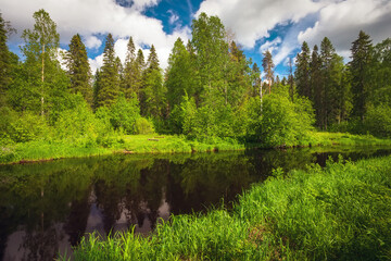Fototapeta na wymiar River flowing in the forest. Beautiful summer landscape with blue sky and clouds. Nature of Karelia.