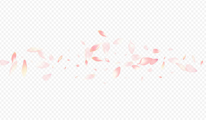 Purple Blooming Vector Transparent Background.