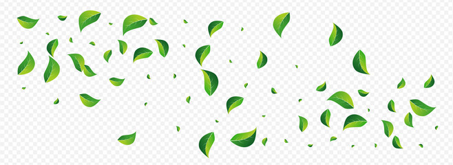 Lime Leaves Forest Vector Panoramic Transparent