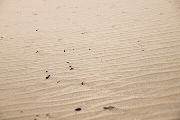 Close up of sand patterns in the desert dunes made by the wind