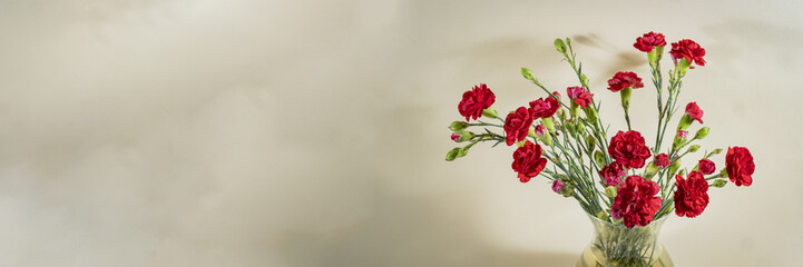 a bouquet of red carnations in a vase