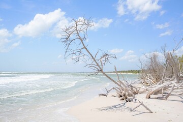 Beautiful view of Vanderbilt Beach in Naples, Florida