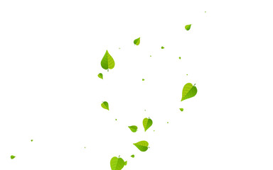 Fototapeta na wymiar Green Leaves Abstract Vector White Background