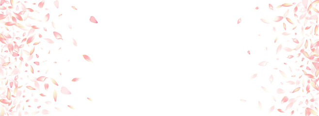 White Rose Petal Vector Panoramic Background.