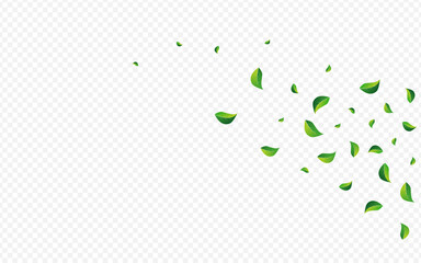 Grassy Greens Transparent Vector Transparent