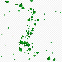 Swamp Greens Swirl Vector Transparent Background