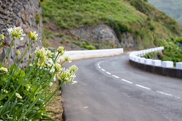 Highlights of east Madeira, an insel of Portugal