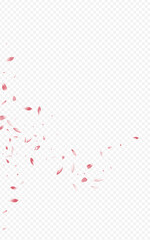 Red Rose Fall Vector Transparent Background.