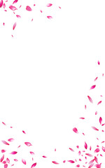 Fototapeta na wymiar Pink Blossom Flying Vector White Background.