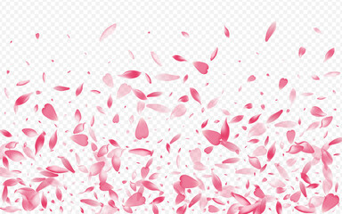 Light Floral Vector Transparent Background.
