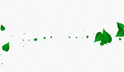 Forest Foliage Falling Vector Transparent