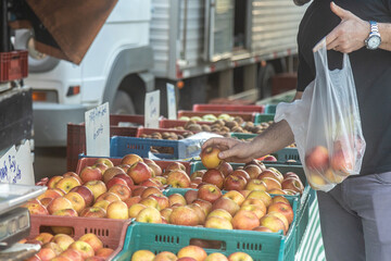 Man buying apples at Market Square (Praca das Feiras), in Caxias do Sul, RS, Brazil