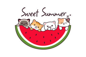 Cute Cat Cartoon Drawing with Fruit Watermelon Summer Banner Background