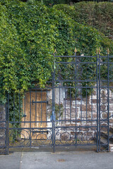 Obraz premium Historic black metal fence with gold tips in front of a natural stone wall with ivy and green vines and an old wooden door with ironwork and a stone staircase